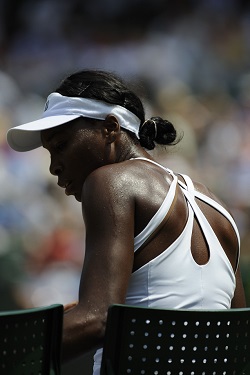 Venus Williams